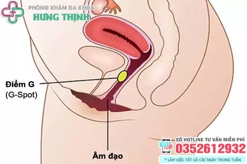 Điểm G là gì? Điểm G của phụ nữ nằm ở đâu?