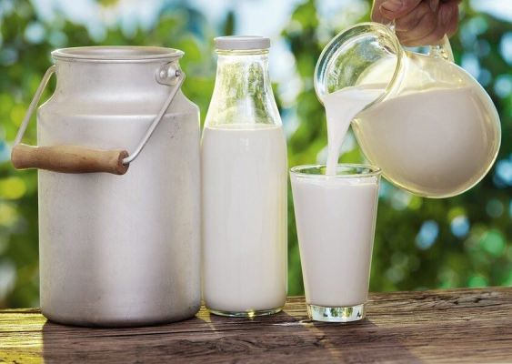 Thực phẩm tăng cường testosterone Sữa tươi