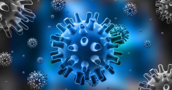 Virus hsv gây herpes sinh dục